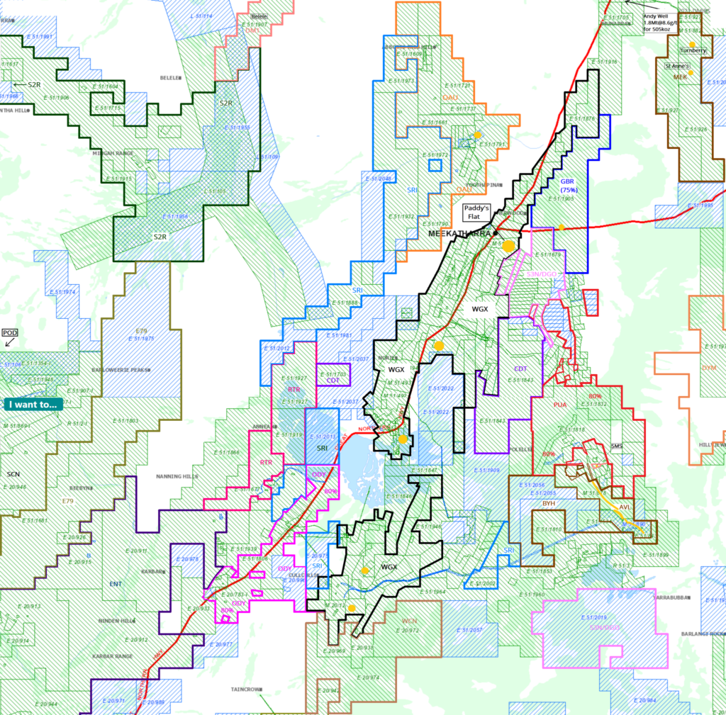 Meekathara - Gold, Copper - WGX, MEK, ODY, GBR, S2R, DYM