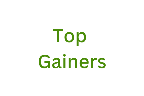 Market scanners - Top Gainers